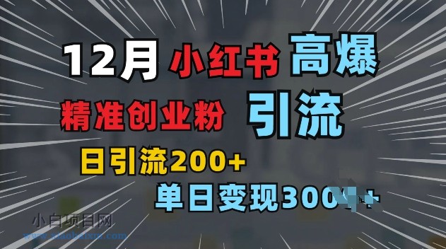 小红书一张图片“引爆”创业粉，单日+200+精准创业粉 可筛选付费意识创业粉【揭秘】-小白项目分享网