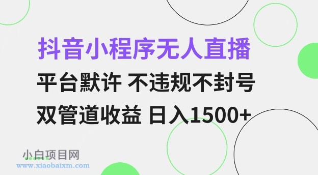 抖音小程序无人直播 平台默许 不违规不封号 双管道收益 日入多张 小白也能轻松操作【仅揭秘】-小白项目分享网