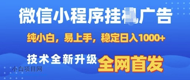 微信小程序全自动挂JI广告，纯小白易上手，稳定日入多张，技术全新升级，全网首发【揭秘】-小白项目分享网