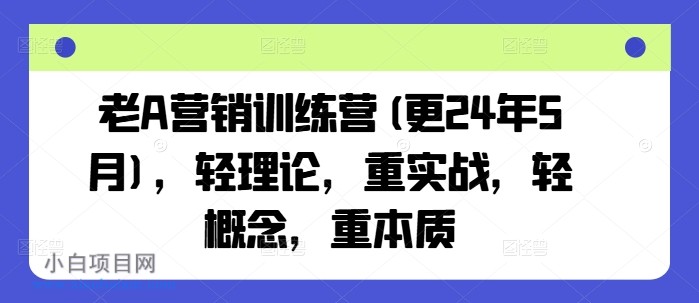 老A营销训练营(更24年12月)，轻理论，重实战，轻概念，重本质-小白项目分享网