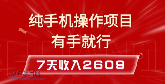 纯手机操作的小项目，有手就能做，7天收入2609+实操教程【揭秘】-小白项目分享网