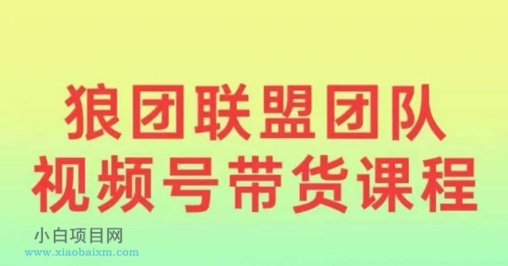 狼团联盟2024视频号带货，0基础小白快速入局视频号-小白项目分享网