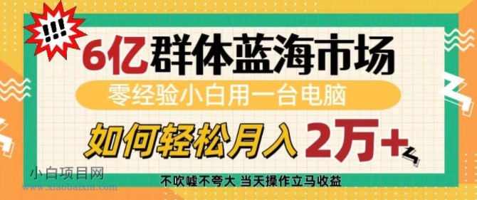 6亿群体蓝海市场，零经验小白用一台电脑，如何轻松月入过W【揭秘】-小白项目分享网