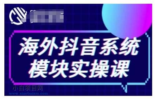 海外抖音TIKTOK系统模块实操课，TK短视频带货，TK直播带货，TK小店端实操等-小白项目分享网