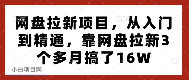 网盘拉新项目，从入门到精通，靠网盘拉新3个多月搞了16W-小白项目分享网