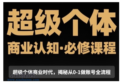 超级个体商业认知觉醒视频课，商业认知·必修课程揭秘从0-1账号全流程-小白项目分享网