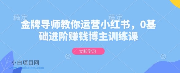 金牌导师教你运营小红书，0基础进阶赚钱博主训练课-小白项目分享网