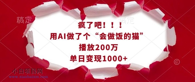 疯了吧！用AI做了个“会做饭的猫”，播放200万，单日变现1K-小白项目分享网