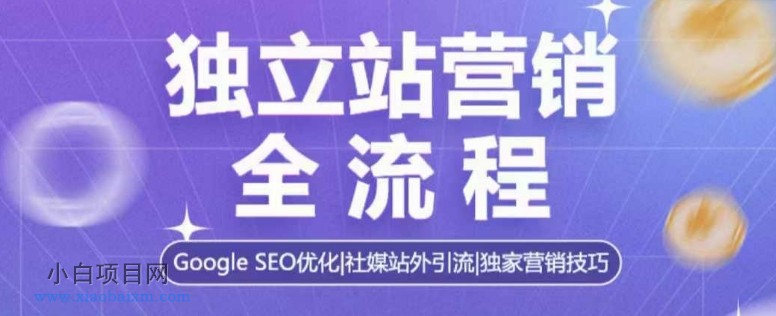 独立站营销全流程，GOOGLE SEO优化，社媒站外引流，独家营销技巧-小白项目分享网