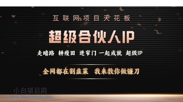 互联网项目天花板，超级合伙人IP，全网都在割韭菜，我来教你做镰刀【仅揭秘】-小白项目分享网