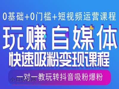 0基础+0门槛+短视频运营课程，玩赚自媒体快速吸粉变现课程，一对一教玩转抖音吸粉爆粉-小白项目分享网