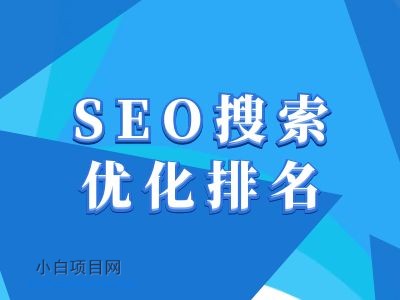 抖音搜索SEO教程，抖音SEO搜索优化排名-小白项目分享网