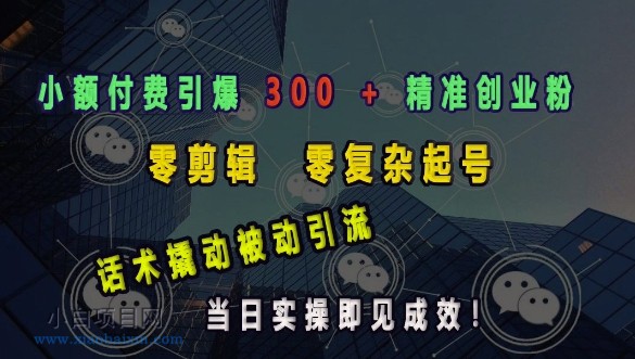 小额付费引爆 300 + 精准创业粉，零剪辑、零复杂起号，话术撬动被动引流，当日实操即见成效-小白项目分享网