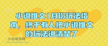 【在家赚钱的副业】小说推文1月份玩法指南，终于有人把小说推文的玩法讲清楚了!-小白项目分享网