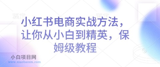 小红书电商实战方法，让你从小白到精英，保姆级教程-小白项目分享网