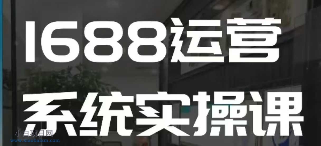 1688高阶运营系统实操课，快速掌握1688店铺运营的核心玩法-小白项目分享网