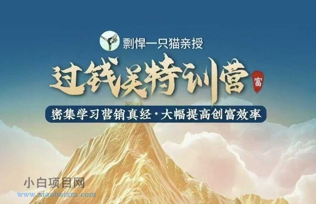 剽悍一只猫-过钱关特训营，学习营销真经 大幅度提高创富效率-小白项目分享网