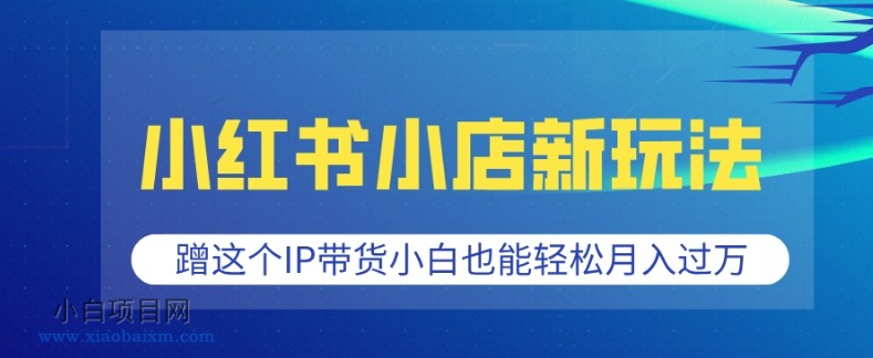 小红书小店新玩法，蹭这个IP带货，小白也能轻松月入过W【揭秘】-小白项目分享网