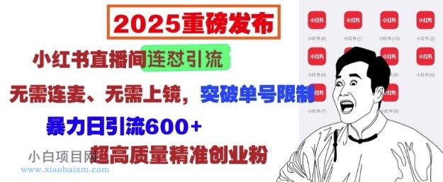 2025重磅发布：小红书直播间连怼引流，无需连麦、无需上镜，突破单号限制，暴力日引流600+-小白项目分享网