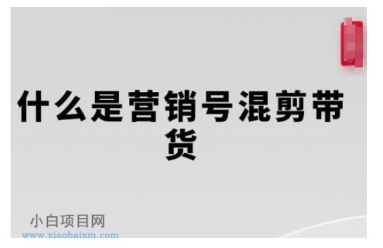 营销号混剪带货，从内容创作到流量变现的全流程，教你用营销号形式做混剪带货-小白项目分享网