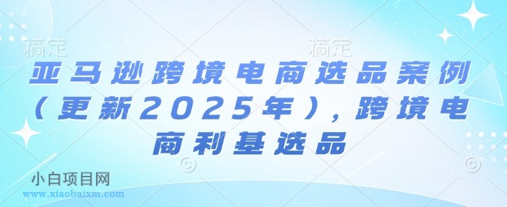 亚马逊跨境电商选品案例(更新2025年)，跨境电商利基选品-小白项目分享网