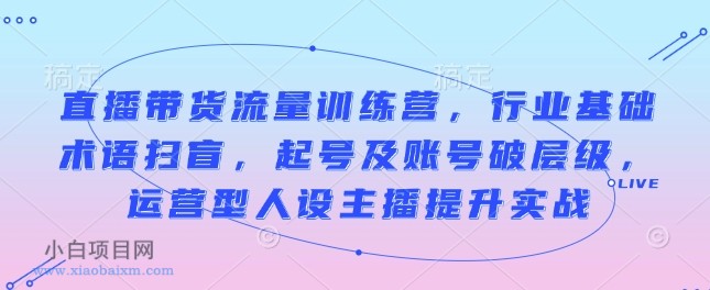 直播带货流量训练营，行业基础术语扫盲，起号及账号破层级，运营型人设主播提升实战-小白项目分享网