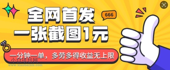 全网首发，一张截图1块钱，一分钟一单，多劳多得，收益无上限-小白项目分享网