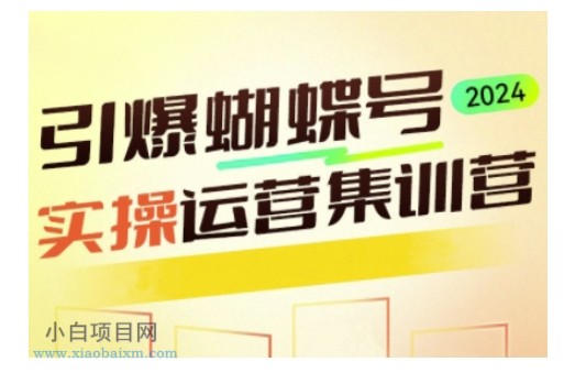 引爆蝴蝶号实操运营，助力你深度掌握蝴蝶号运营，实现高效实操，开启流量变现之路-小白项目分享网