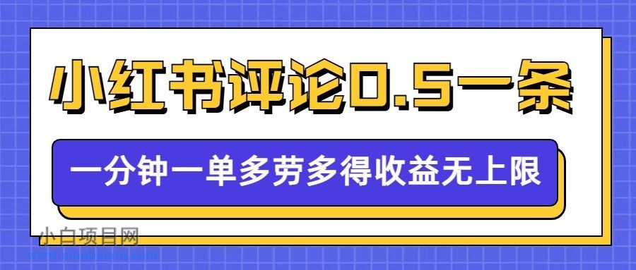 小红书留言评论，0.5元1条，一分钟一单，多劳多得，收益无上限-小白项目分享网