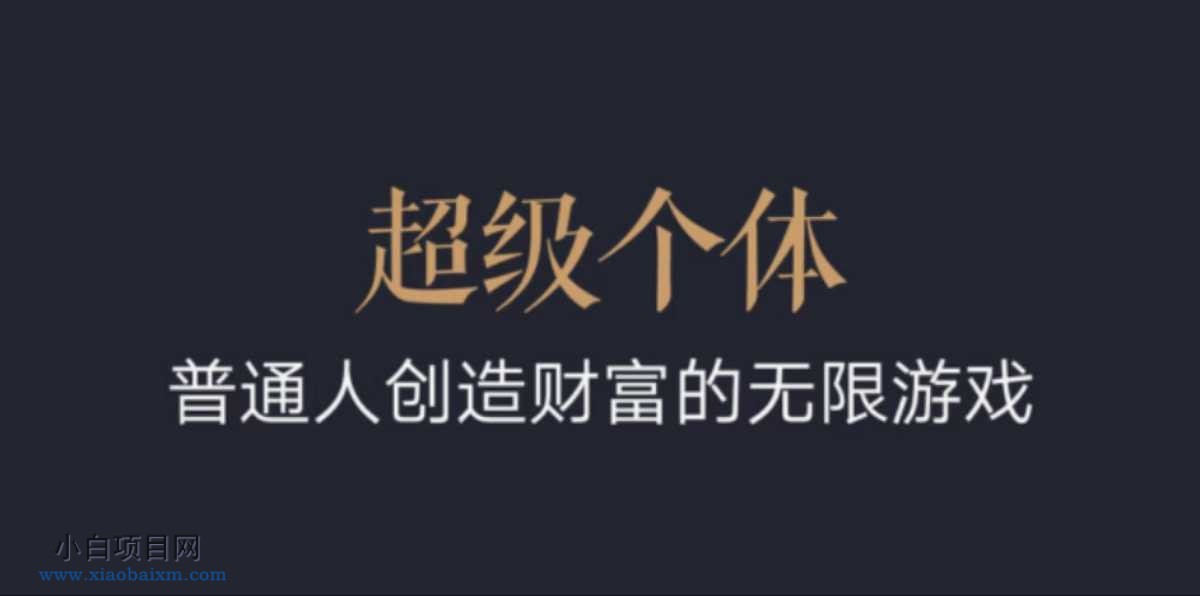 超级个体：2024-2025翻盘指南，普通人创造财富的无限游戏-小白项目分享网