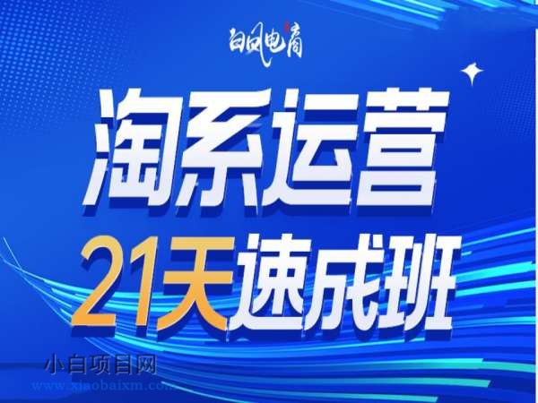 淘系运营21天速成班35期，年前最后一波和2025方向-小白项目分享网