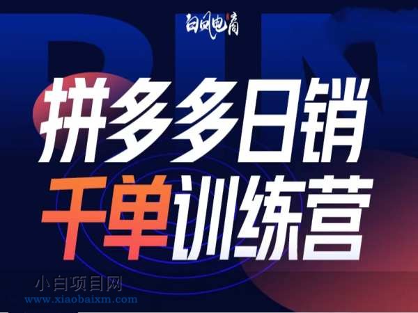 拼多多日销千单训练营第32期，2025开年变化和最新玩法-小白项目分享网