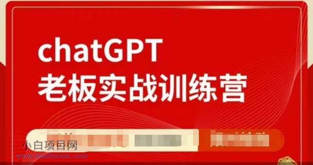 ChatGPT老板实战训练营，用GPT带飞，一人顶一个团队-小白项目分享网