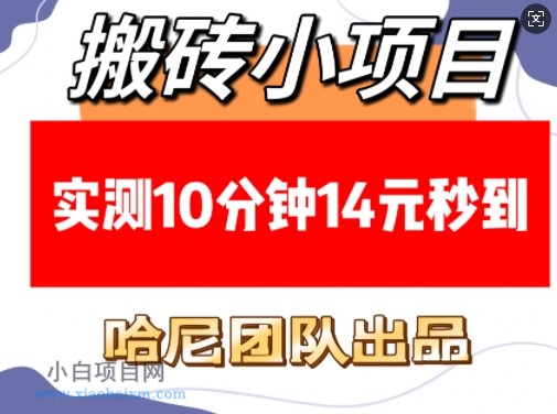 搬砖小项目，实测10分钟14元秒到，每天稳定几张(赠送必看稳定)-小白项目分享网