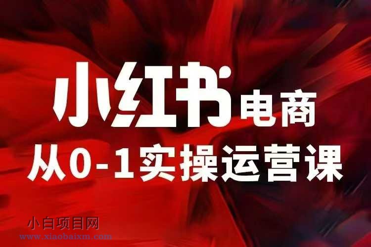 小红书电商运营，97节小红书vip内部课，带你实现小红书赚钱-小白项目分享网