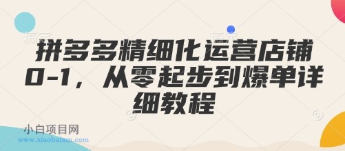 拼多多精细化运营店铺0-1，从零起步到爆单详细教程-小白项目分享网