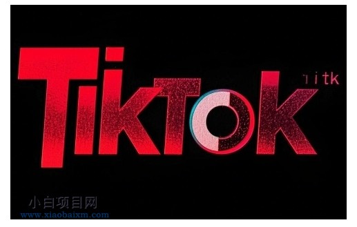 TikTok ads投流秘籍，涵盖tiktok整体投放思路，教你搭建测试计划-小白项目分享网