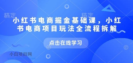 小红书电商掘金课，小红书电商项目玩法全流程拆解-小白项目分享网