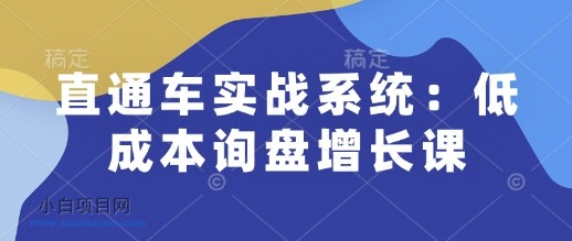 直通车实战系统：低成本询盘增长课，让个人通过技能实现升职加薪，让企业低成本获客，订单源源不断-小白项目分享网