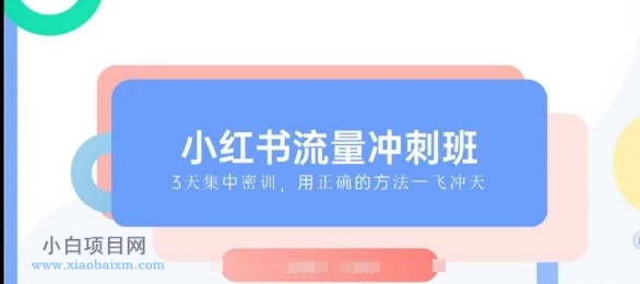 小红书流量冲刺班2025，最懂小红书的女人，快速教你2025年入局小红书-小白项目分享网