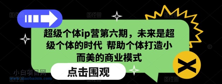 超级个体ip营第六期，未来是超级个体的时代  帮助个体打造小而美的商业模式-小白项目分享网