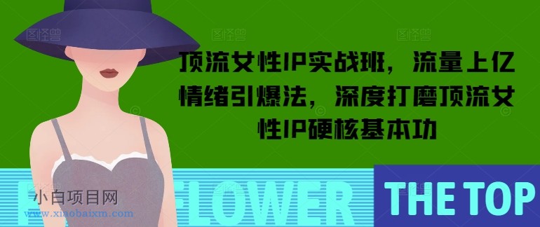 顶流女性IP实战班，流量上亿情绪引爆法，深度打磨顶流女性IP硬核基本功-小白项目分享网