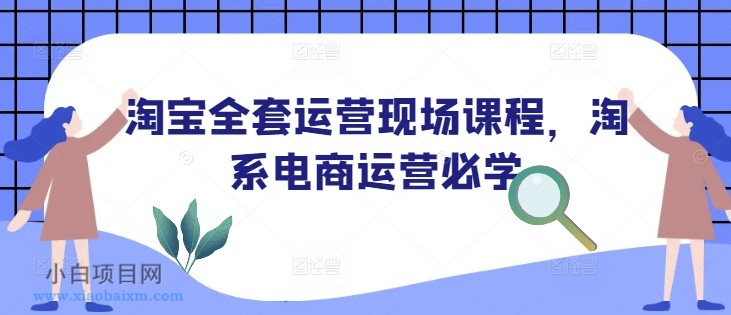 淘宝全套运营现场课程，淘系电商运营必学-小白项目分享网