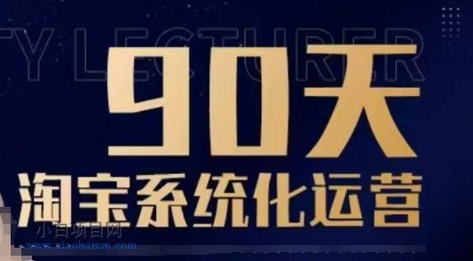 90天淘宝系统化运营，从入门到精通-小白项目分享网