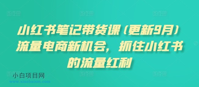 小红书笔记带货课(更新25年1月)流量电商新机会，抓住小红书的流量红利-小白项目分享网