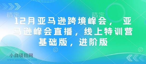 12月亚马逊跨境峰会， 亚马逊峰会直播，线上特训营基础版，进阶版-小白项目分享网