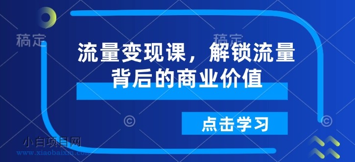 流量变现课，解锁流量背后的商业价值-小白项目分享网