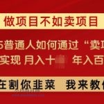 必看，做项目不如卖项目，2025普通人如何通过“卖项目”实现月入十个，年入百个-小白项目分享网