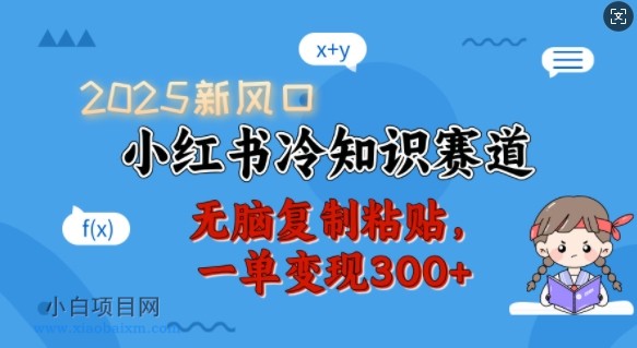 2025新风口，小红书冷知识赛道，无脑复制粘贴，一单变现300+-小白项目分享网