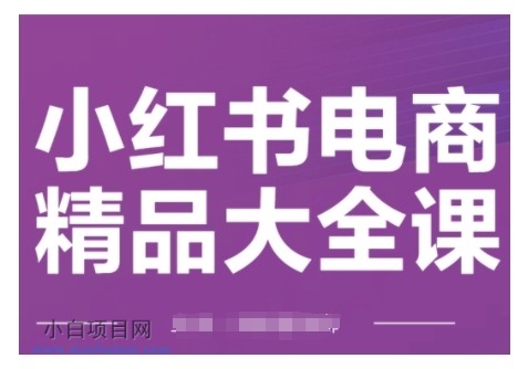 小红书电商精品大全课，快速掌握小红书运营技巧，实现精准引流与爆单目标，轻松玩转小红书电商-小白项目分享网